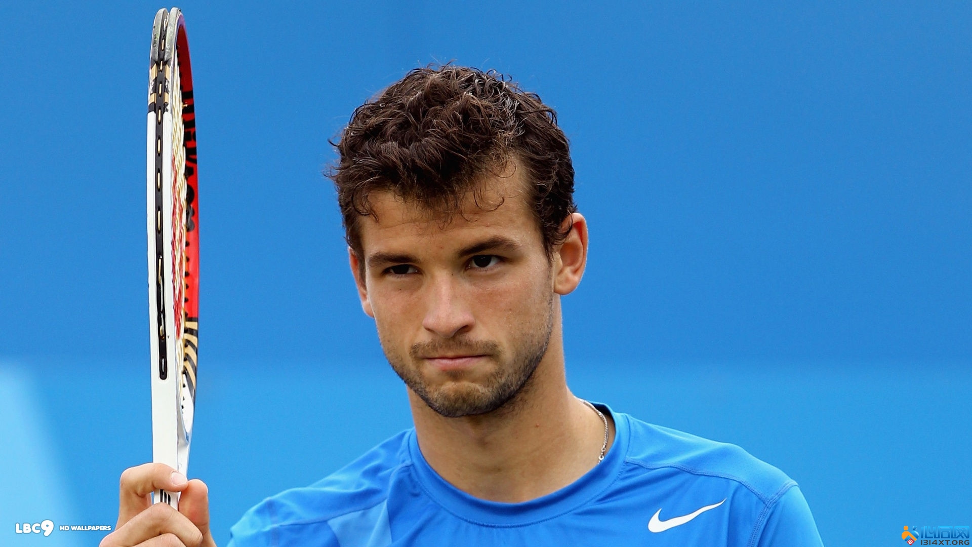 注的观点发 注的观点发