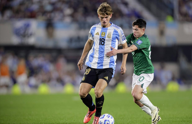 赛场强调的 赛场强调的